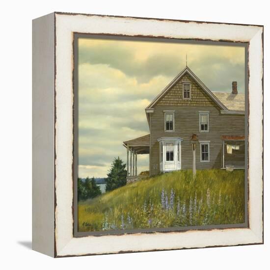 Door yard Lupines-Jerry Cable-Framed Premier Image Canvas