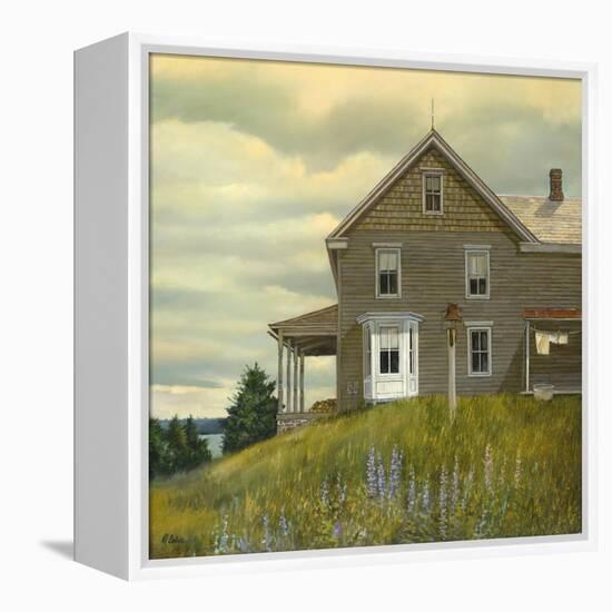 Door yard Lupines-Jerry Cable-Framed Premier Image Canvas