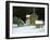 Door Yard Snow-Jerry Cable-Framed Giclee Print