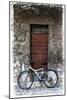 Doors of Europe VI-Rachel Perry-Mounted Photographic Print