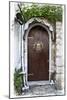 Doors of Europe XIX-Rachel Perry-Mounted Photographic Print