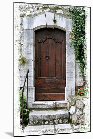 Doors of Europe XVIII-Rachel Perry-Mounted Photographic Print