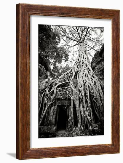 Doorway and Roots I-Erin Berzel-Framed Photographic Print