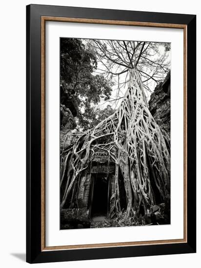 Doorway and Roots I-Erin Berzel-Framed Photographic Print