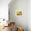 Doorway at Mausoleum of Moulay Ismail-Paul Souders-Framed Photographic Print displayed on a wall