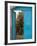 Doorway in Small Village, Cappadoccia, Turkey-Darrell Gulin-Framed Photographic Print