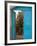 Doorway in Small Village, Cappadoccia, Turkey-Darrell Gulin-Framed Photographic Print