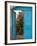 Doorway in Small Village, Cappadoccia, Turkey-Darrell Gulin-Framed Photographic Print