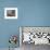 Doorway with Basket of Grapes, Village in Cappadoccia, Turkey-Darrell Gulin-Framed Photographic Print displayed on a wall