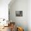 Doorway with Basket of Grapes, Village in Cappadoccia, Turkey-Darrell Gulin-Photographic Print displayed on a wall