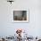 Doorway with Basket of Grapes, Village in Cappadoccia, Turkey-Darrell Gulin-Framed Photographic Print displayed on a wall