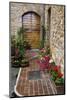 Doorway with Flowers, Pienza, Tuscany, Italy-Terry Eggers-Mounted Premium Photographic Print