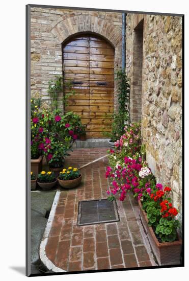 Doorway with Flowers, Pienza, Tuscany, Italy-Terry Eggers-Mounted Premium Photographic Print