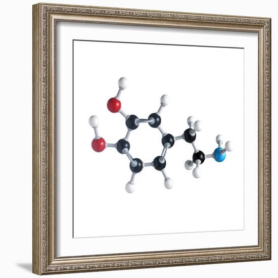 Dopamine Neurotransmitter Molecule-Science Photo Library-Framed Premium Photographic Print