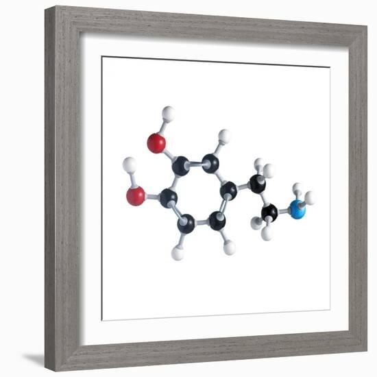 Dopamine Neurotransmitter Molecule-Science Photo Library-Framed Premium Photographic Print