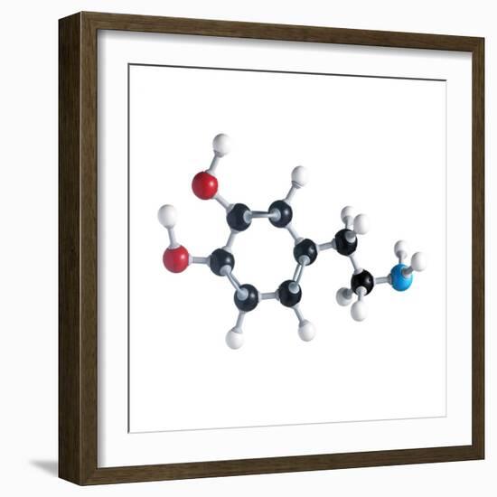 Dopamine Neurotransmitter Molecule-Science Photo Library-Framed Premium Photographic Print