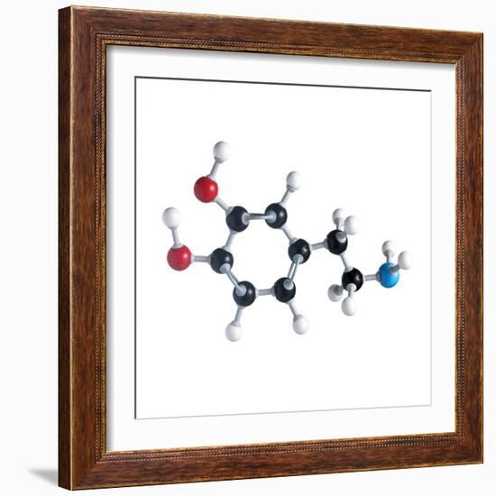 Dopamine Neurotransmitter Molecule-Science Photo Library-Framed Premium Photographic Print