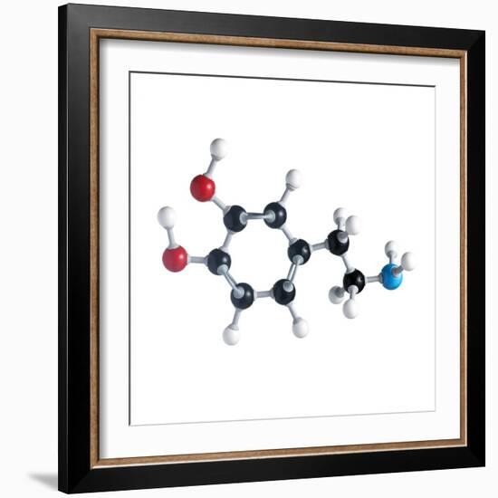 Dopamine Neurotransmitter Molecule-Science Photo Library-Framed Premium Photographic Print