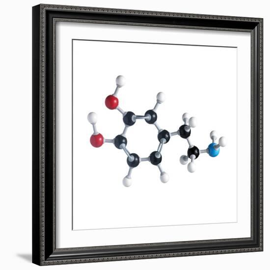 Dopamine Neurotransmitter Molecule-Science Photo Library-Framed Premium Photographic Print