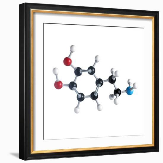 Dopamine Neurotransmitter Molecule-Science Photo Library-Framed Premium Photographic Print