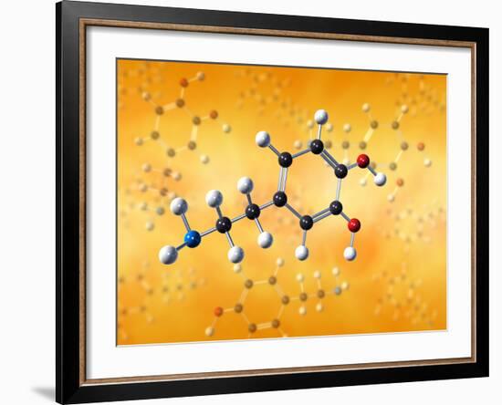 Dopamine Neurotransmitter Molecule-David Mack-Framed Photographic Print