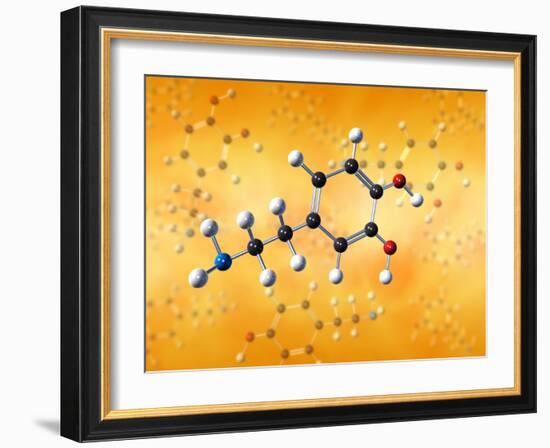 Dopamine Neurotransmitter Molecule-David Mack-Framed Photographic Print