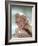 Doris Day, 1950s-null-Framed Photo