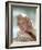 Doris Day, 1950s-null-Framed Photo