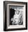 Doris Day - That Touch of Mink-null-Framed Photo