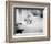 Doris Day-null-Framed Photo