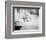 Doris Day-null-Framed Photo