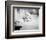 Doris Day-null-Framed Photo