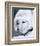 Doris Day-null-Framed Photo