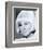 Doris Day-null-Framed Photo