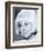 Doris Day-null-Framed Photo