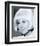 Doris Day-null-Framed Photo