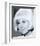 Doris Day-null-Framed Photo