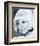 Doris Day-null-Framed Photo