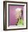 Doris Day-null-Framed Photo