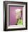 Doris Day-null-Framed Photo