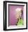 Doris Day-null-Framed Photo