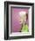 Doris Day-null-Framed Photo