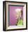 Doris Day-null-Framed Photo