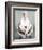 Doris Day-null-Framed Photo