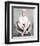 Doris Day-null-Framed Photo