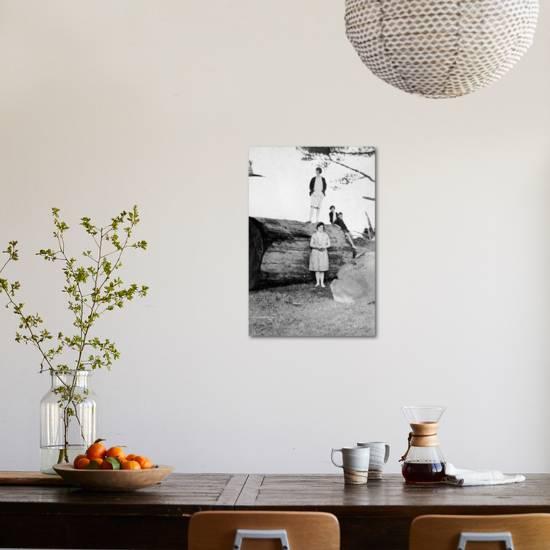 Doris Jessie Jessie Yvonne And Ian Bryce Mckenzie Waipu Late