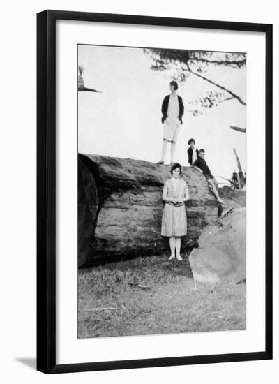 Photographic Print, , large
