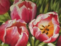 Tulips-Doris Joa-Giclee Print