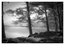 Loch an Eilein-Dorit Fuhg-Art Print