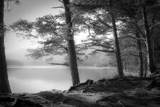 Loch An Eilein-Dorit Fuhg-Photographic Print